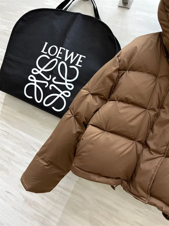 Loewe hooded down jacket